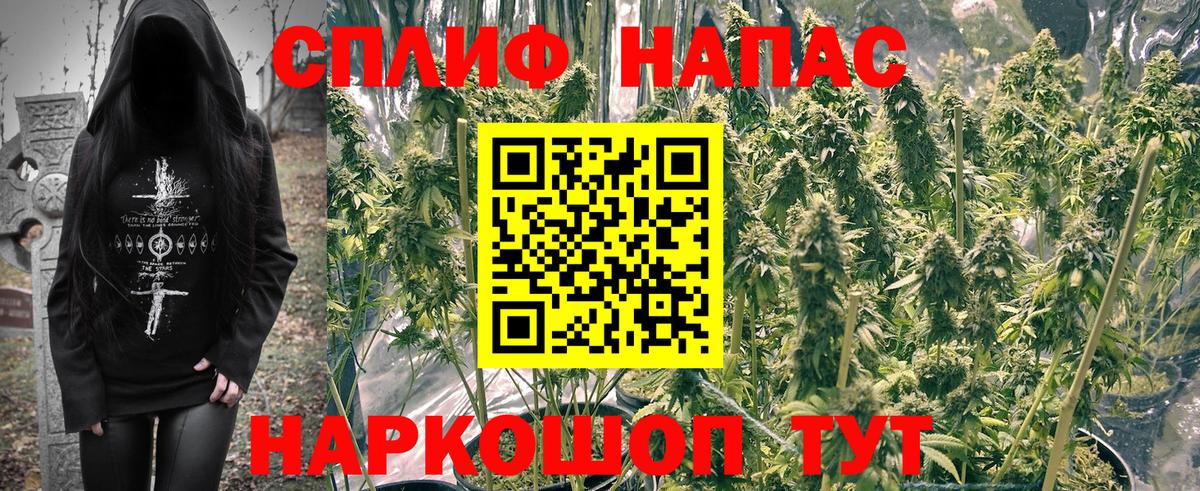 Шишки марихуана White Widow  Канабис гибрид  Каннабис Ganja  Вход с VPN  Калининград 